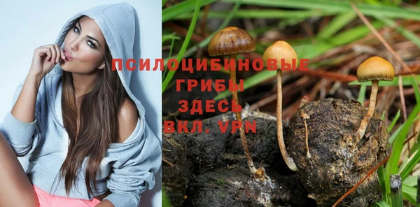 мет Абаза