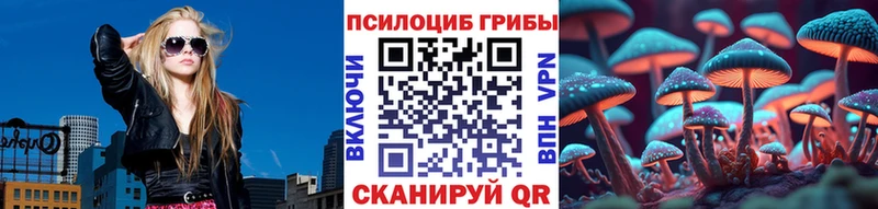 где продают наркотики Татарск Галлюциногенные грибы GOLDEN TEACHER