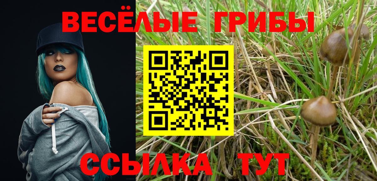 Псилоцибиновые грибы мухоморы Татарск