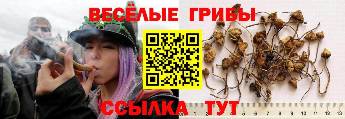 Татарск  Псилоцибиновые грибы Magic Shrooms  Псилоцибиновые грибы Cubensis  Вход с VPN 